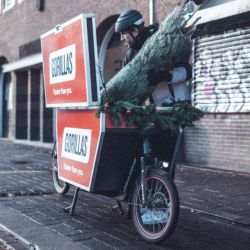Gorillas komt kerstbomen bezorgen in Amsterdam